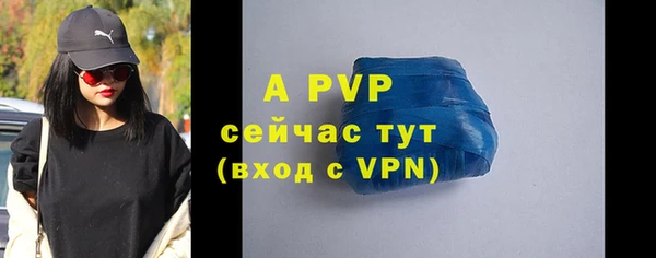 твердый Аркадак