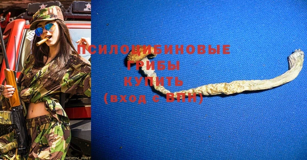трава Арсеньев