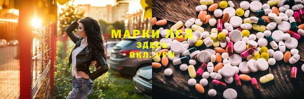 трава Арсеньев
