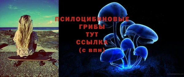 твердый Аркадак